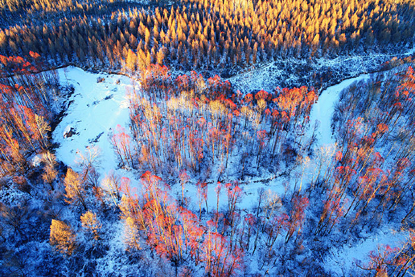 ���˰��붬����������������