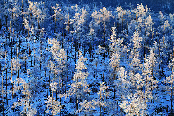 ���˰��붬��������ڡ