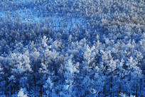 ���˰��붬��ѩ����