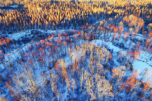 ���˰����ֺ�ѩԭ����������� 