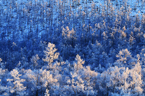 ���˰���ѩ��ɽ��ĺɫ