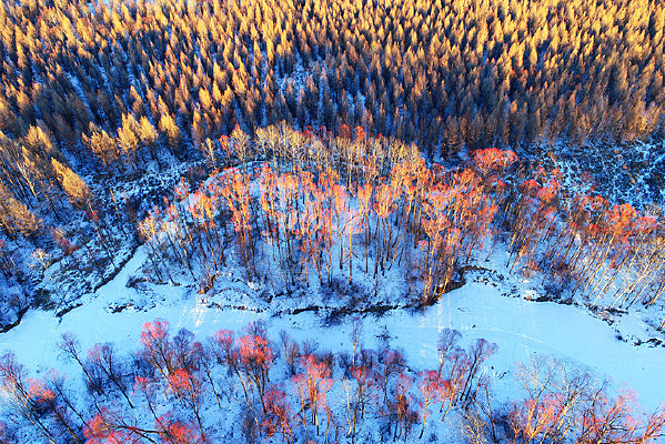 ���Ĵ��˰���ѩ�Ӻ��� 