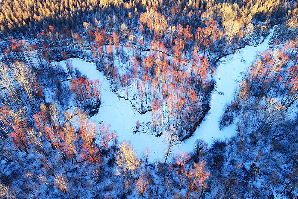 ���Ĵ��˰���ѩԭ���Ӻ���