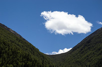 ��������µ�С����