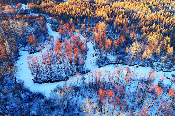 ѩԭѩ�Ӻ����羰