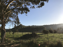 �������Ұ���