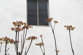 �����㴻��