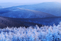 ���˰��붬��ɽ����ڡ