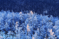 ���˰���ѩ��Ϧ��