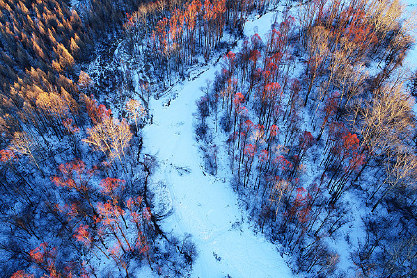 ����ѩɫ���� 