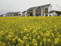 �������ͼ