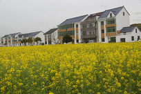 �����˻���