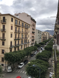 ŷ������ͼ