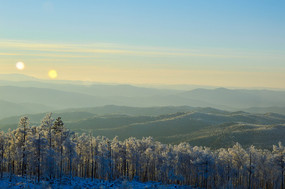 ���˰���ɭ�ַ��