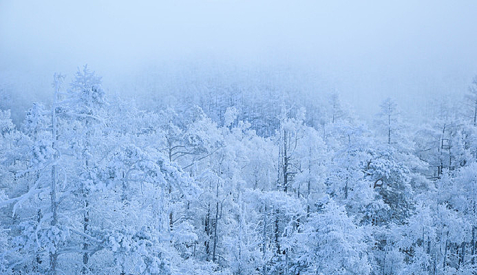 ���˰�������