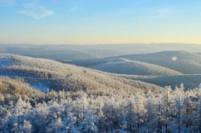 ���˰������ַ��