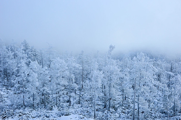 ���˰�����ڡ