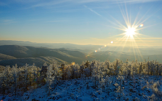 ������ڡ