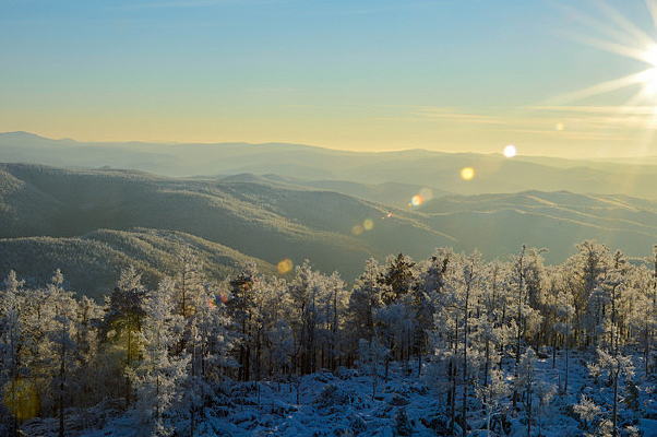 ������ڡ���