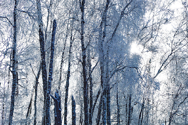 ������ڡ��