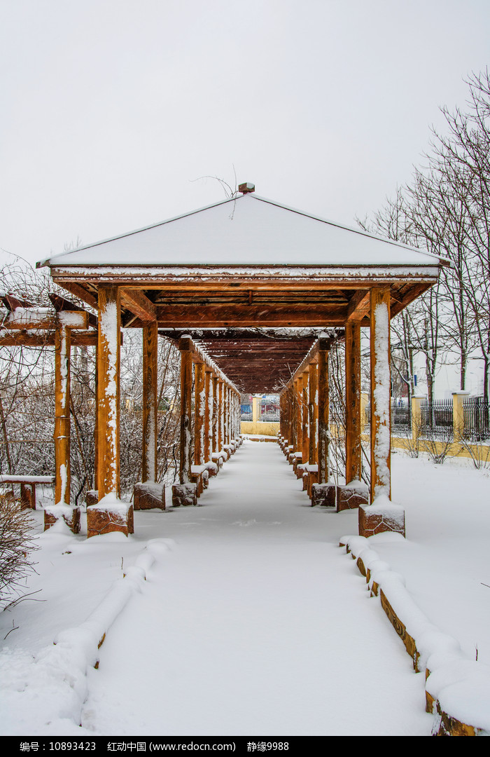 校园长廊凉亭与廊内小路雪景