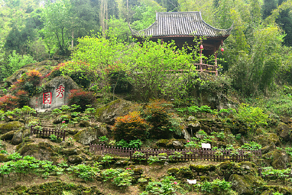 ����԰����