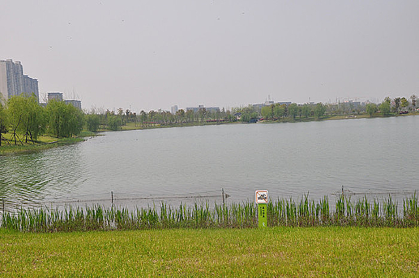 ����ĺ���