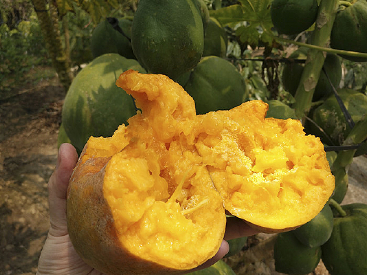 ��д��ľ��