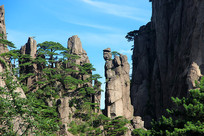 ��ɽ��ʯ����-��ɮ��ҩ