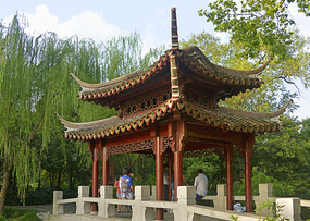 �Ϻ����԰-����������ͤ