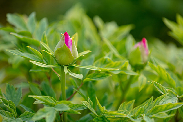 ĵ�������Ƕ���д