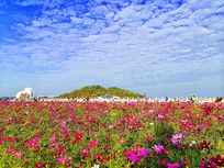 ��ɣ���� 