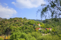 ���Ͼ���ɽ