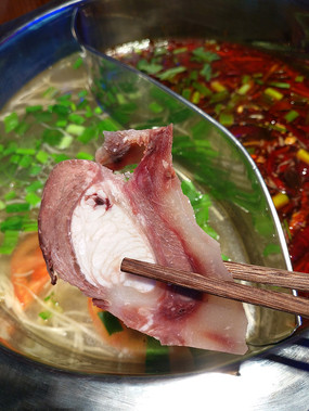 ��ţ����