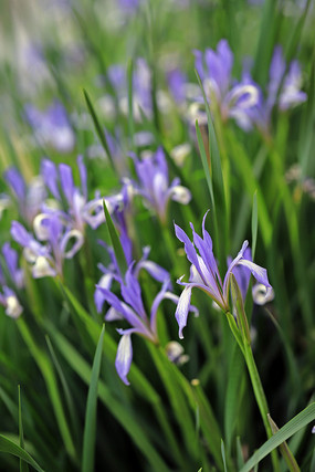 �׻����� 