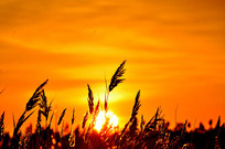 �����ճ�����