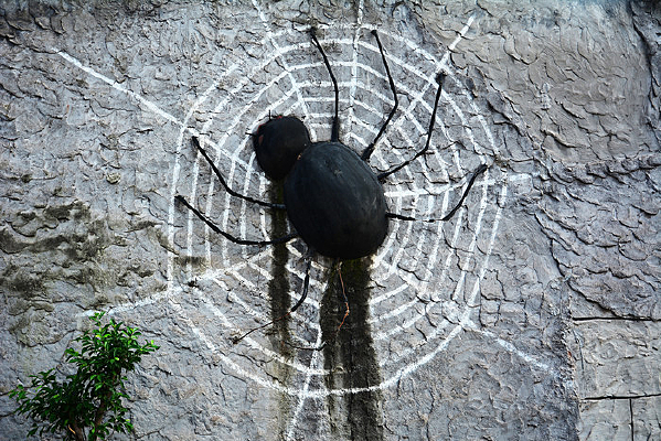 �ֲ���֩�����