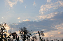 Ϧ����ϼ�͵����Ӱ