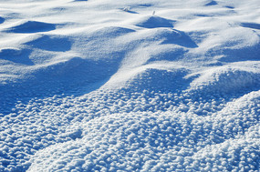 ����ѩ��