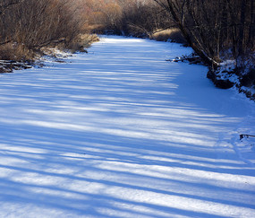 ����ѩ��