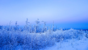 ������ڡ