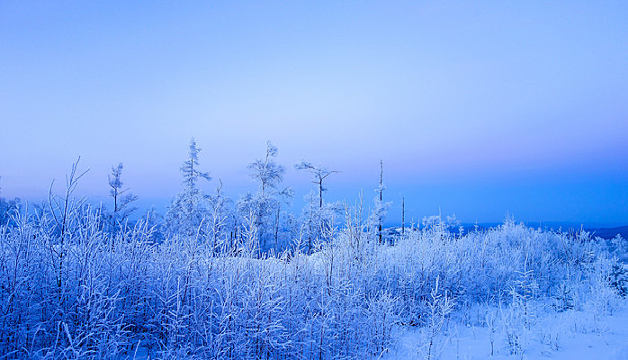 ������ڡ