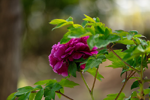 һ����ĵ��