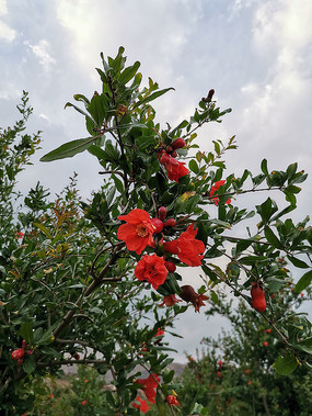 Ｘ俪ŵʯ