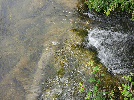 峺׵СϪ