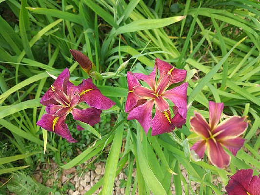 ���������