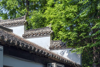 ��ӳ�������е���ͷǽ