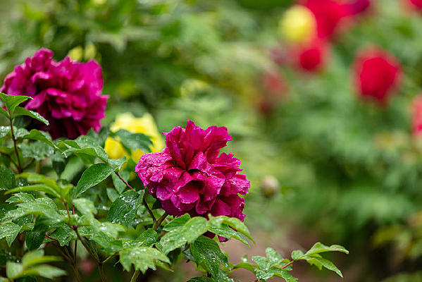 ������ĵ��