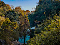 �����Ƥ�ҹ�����ַ��԰�ھ�