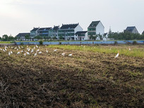 ������԰